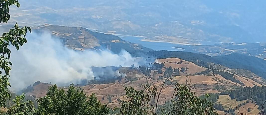 Kahramanmaraş'ta orman yangını 12